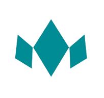 Diadem - Pickleball Paddle Shop