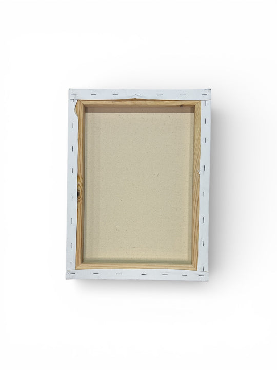 Starry Pickleball Art