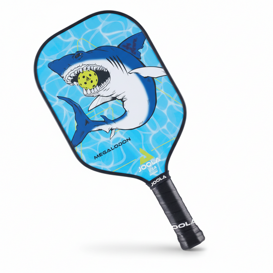 JOOLA Junior Pickleball Paddle